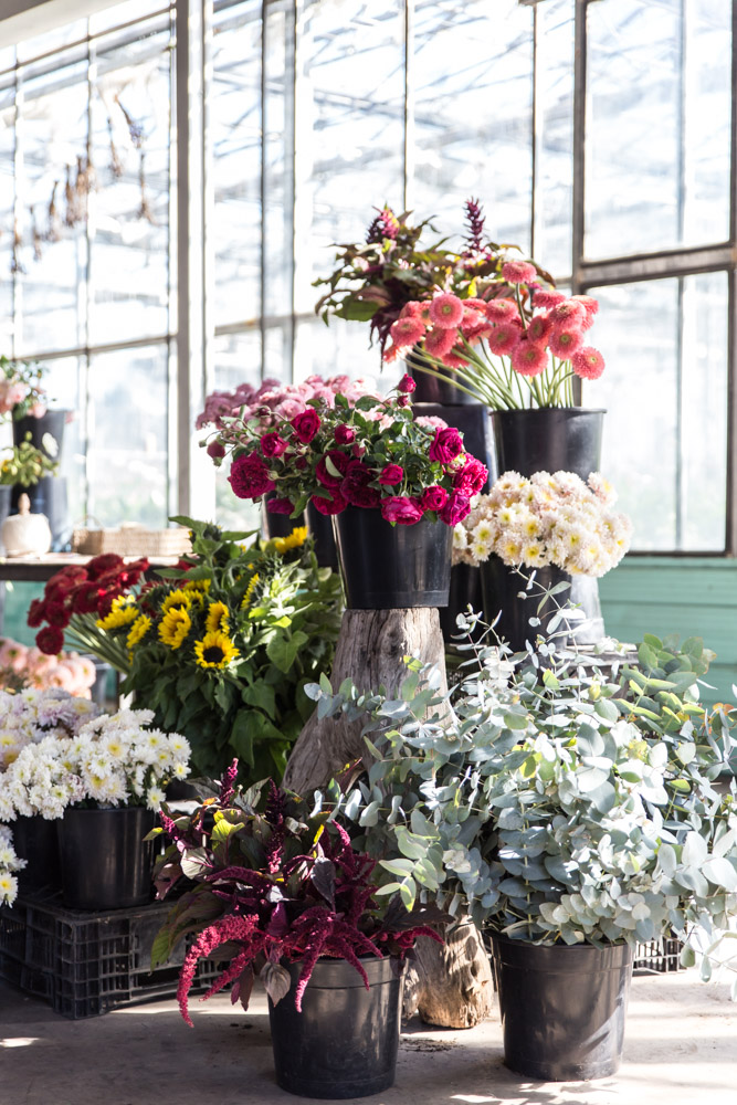 Flower delivery in the Southern HIghlands