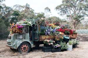 Jonima Flowers Delivery Truck