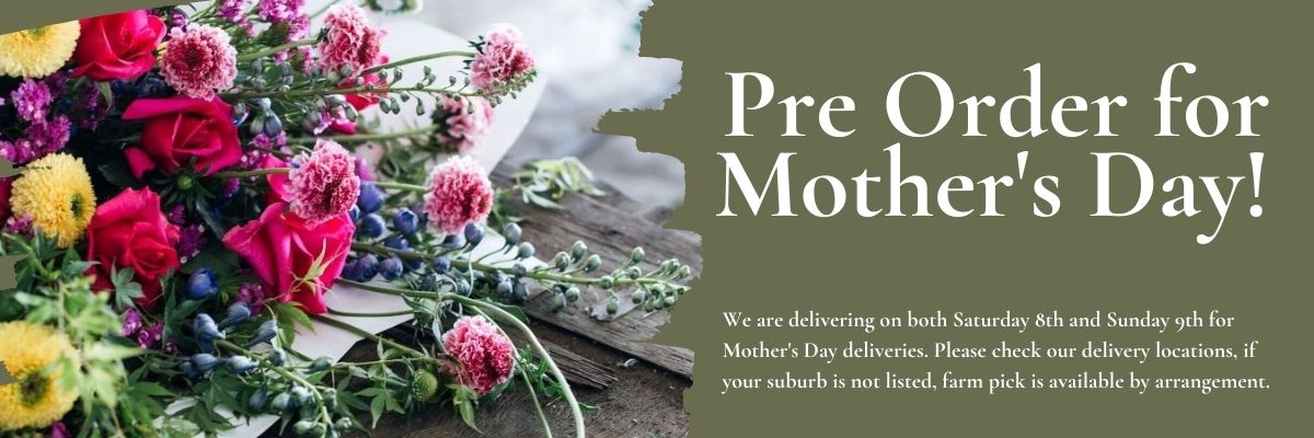 Jonima Flowers Mothers Day Banner 1200 x 400 Jonima Flowers Mothers Day Banner 1200 x 400