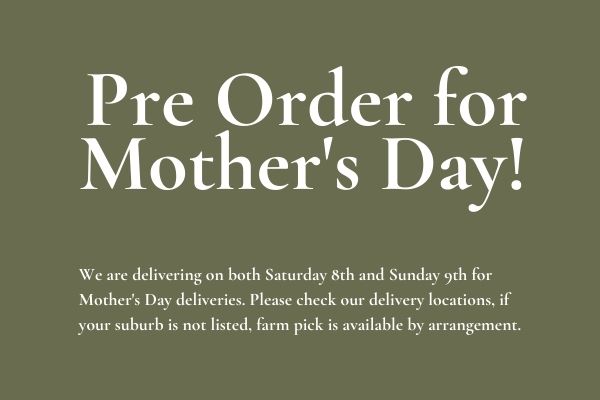Jonima Flowers Mothers Day Text 600 x 400 Jonima Flowers Mothers Day Text 600 x 400